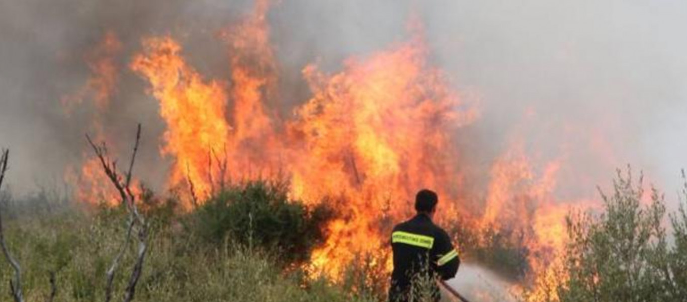 Πυρκαγιά σε δασική έκταση στη Μεσσηνία (φωτό)